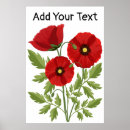 Recherche de pavots art Fleur sauvage