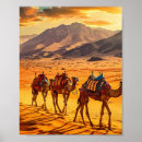 Zoek naar kamelen posters Zonsondergang