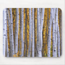 Recherche de montagne rocheuse tapis souris Chute