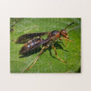 Recherche de ruche puzzles Insecte