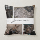 Recherche de animal familier coussins Pour tous