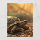 Recherche de âgé cartes postales Nature