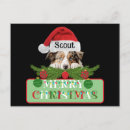 Recherche de noël australien cartes postales Australishepherd