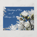 Zoek naar blauwe magnolia briefkaarten Bloemen