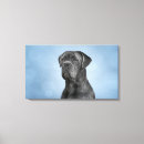 Recherche de cane corso art Chien