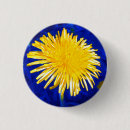 Recherche de pissenlit badges Jaune