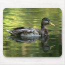 Recherche de miroir tapis souris Réflexion