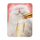 Recherche de presse magnets Blague