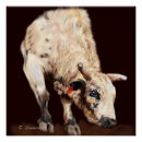Recherche de taureau posters Bulle