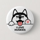 Recherche de husky badges Sibérien