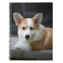 Recherche de corgi carnets Chien de la reine