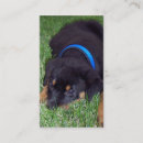 Recherche de rottweiler cartes visite Animaux