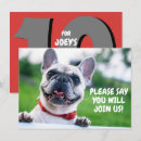 Recherche de bouledogue français joyeux anniversaire Chien
