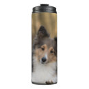 Recherche de chien de colley tasses Mignon