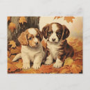 Recherche de de chiot cartes postales Chiots