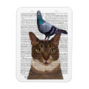 Recherche de pigeon magnete Oiseaux