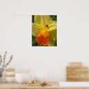 Zoek naar gele narcis posters Bloemen
