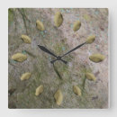 Zoek naar rock klokken Natuur