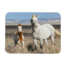 Zoek naar wilde magneten Wild paard