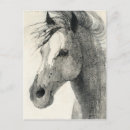 Recherche de cheval abstrait cartes postales Animaux