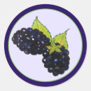 Recherche de blackberry autocollants Fruit