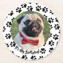 Recherche de empreinte patte verres dessous de verres Chien