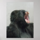 Recherche de de mur de singe posters Pour tous