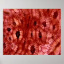 Recherche de cellule posters Abstrait