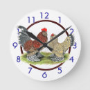 Recherche de coq horloges Oiseau