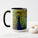 Recherche de paons tasses Oiseaux