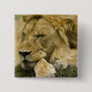Recherche de panthera badges Faune