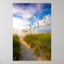 Zoek naar grasse posters Vakantie
