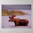 Recherche de parc national denali art Orignal