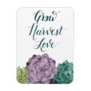 Recherche de plantes magnets Succulent