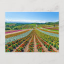 Recherche de paysage fleuri cartes postales Nature