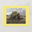 Recherche de tortue heureuse cartes postales Animaux