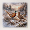 Zoek naar fazanten puzzels Vogels