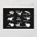 Recherche de porcs cartes postales Noir