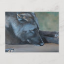 Recherche de loup sauvage cartes postales Canine