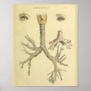 Recherche de trachée posters Médical