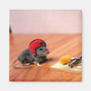 Recherche de souris magnets Fromage