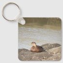Zoek naar duck accessoires Dieren