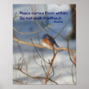 Recherche de bouddha bleu posters Méditation