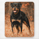 Recherche de chien rottweiler tapis souris Animal