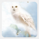 Recherche de oiseaux de proie autocollants Nature