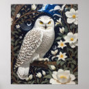 Zoek naar sneeuwuil kunst Dier