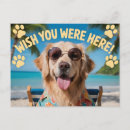 Recherche de chien lunettes soleil cartes postales Plage