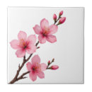Recherche de sakura carreaux Fleurs de cerisier