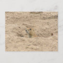 Recherche de gopher posters Rongeur