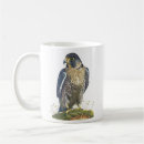Recherche de pélerin tasses Muqueuse